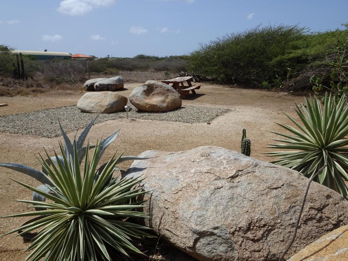 Pura Vida Aruba Appartement Cama Noord Exterior photo