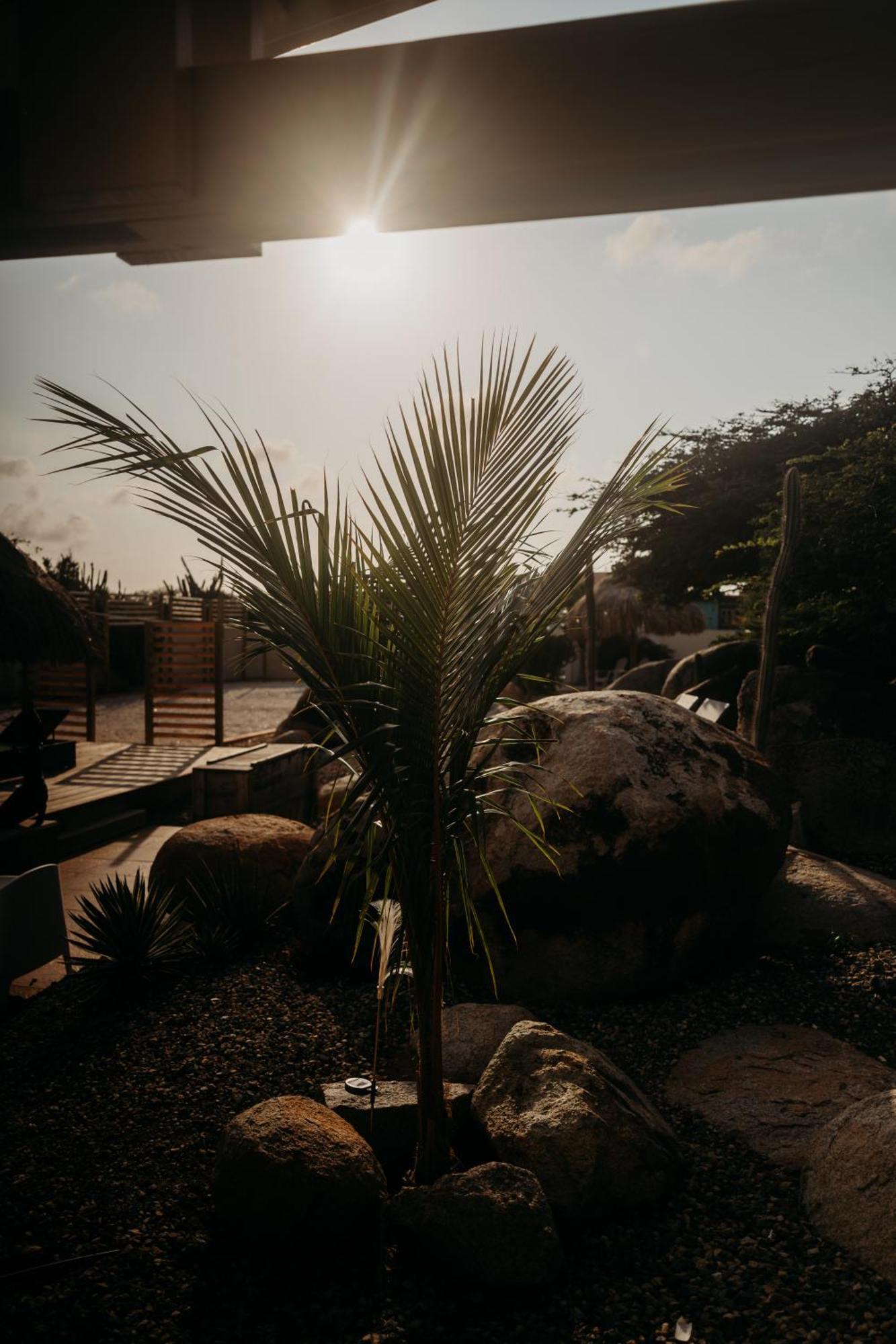 Pura Vida Aruba Appartement Cama Noord Exterior photo